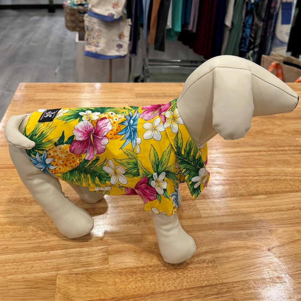 Dog wearing shops hawaiian shirt