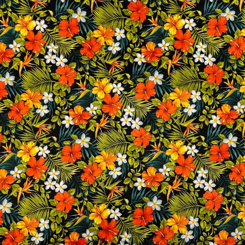 Yellow, Orange Hibiscus with Plumeria | Black