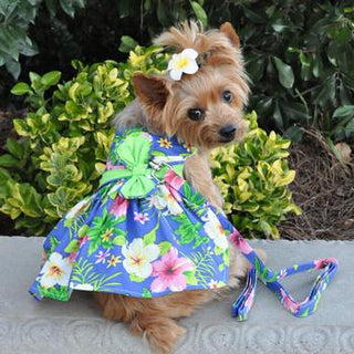Hawaiian Dress for Dog | Blue Floral Dress - Muumuu Outlet