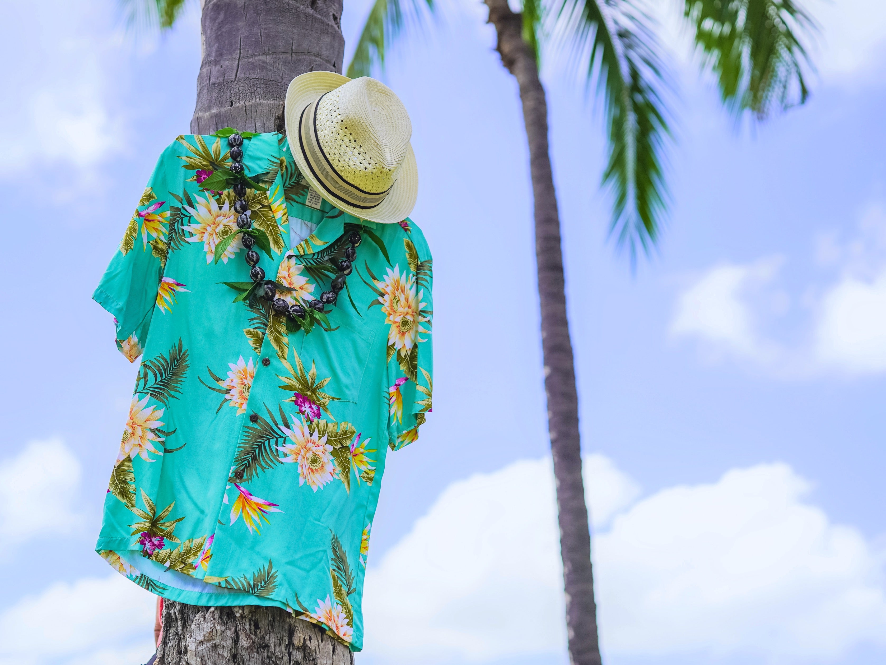 Green Hawaiian shirt with hat and lei