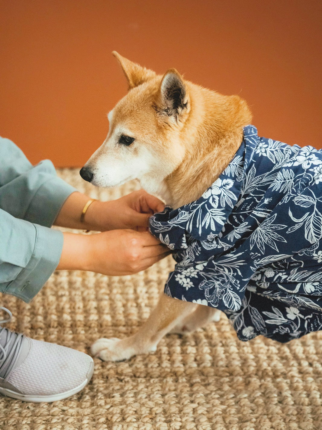dog-summer-shirt-owner-of-the-dog