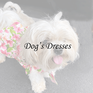 Dog and Cat Dress