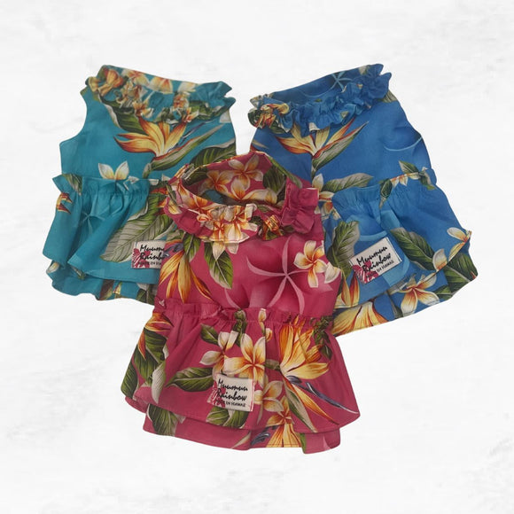Tropical Radiance: Vivid Pink Plumeria & Bird of Paradise Dog Dress