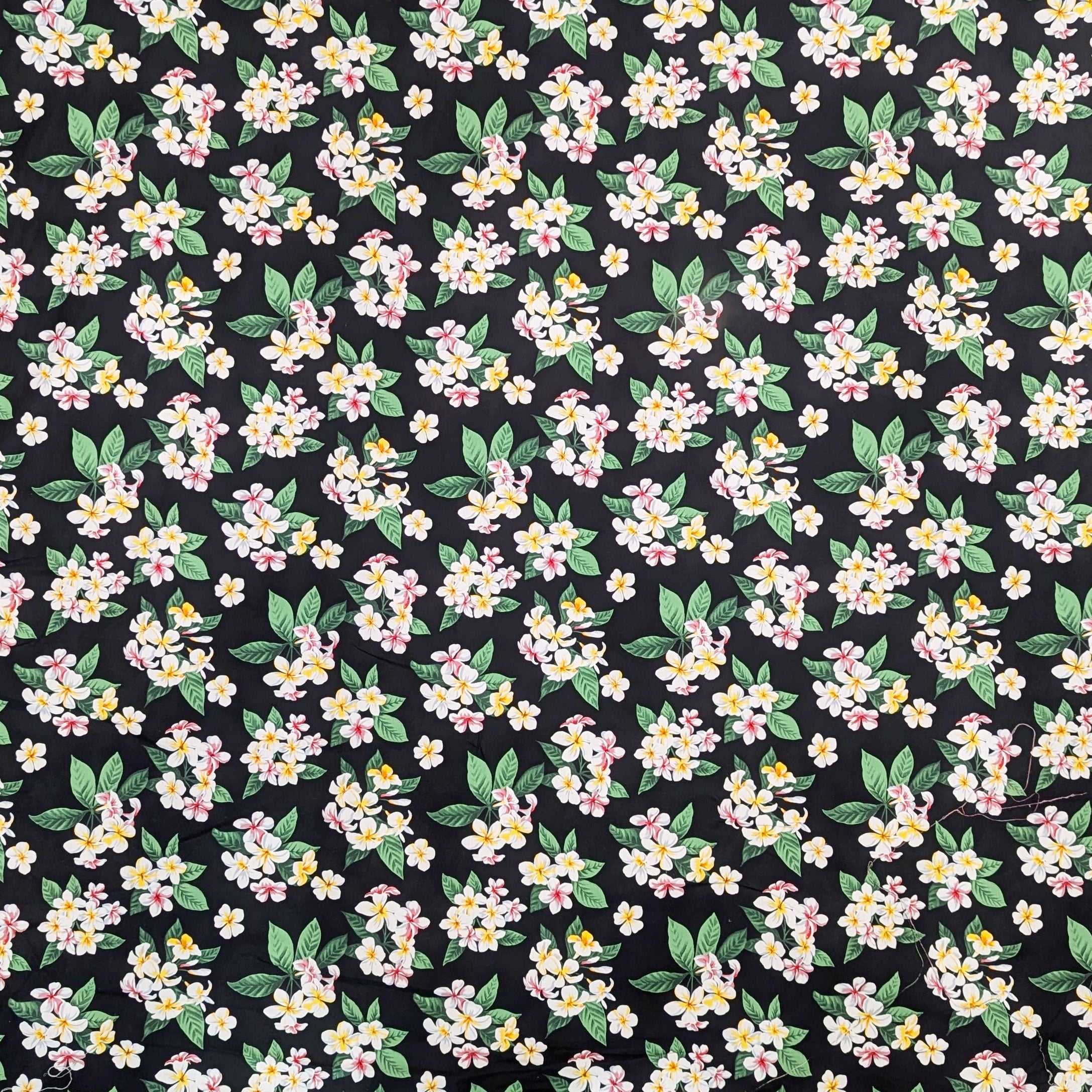 BlackHawaiianFabricwithWhitePlumeriaFlower