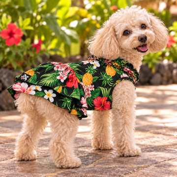 Black Pineapple Paradise Hawaiian Dog Dress – Tropical Hibiscus & Plumeria Ruffle Dress | Made in Hawaii