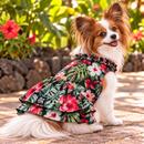 Black Tropical Hibiscus Hawaiian Dog Dress – Elegant Island Floral Ruffle Dress | Made in Hawaii-1