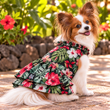 Black Tropical Hibiscus Hawaiian Dog Dress – Elegant Island Floral Ruffle Dress | Made in Hawaii