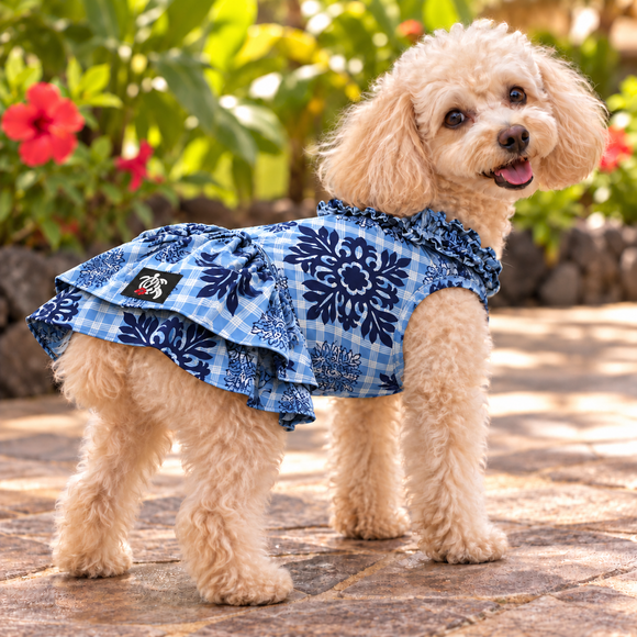 Blue Hawaiian Quilt Print Dog Dress – Plaid & Ruffle Hawaiian Pet Outfit | Made in Hawaii