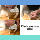 Dog Dress Size Check