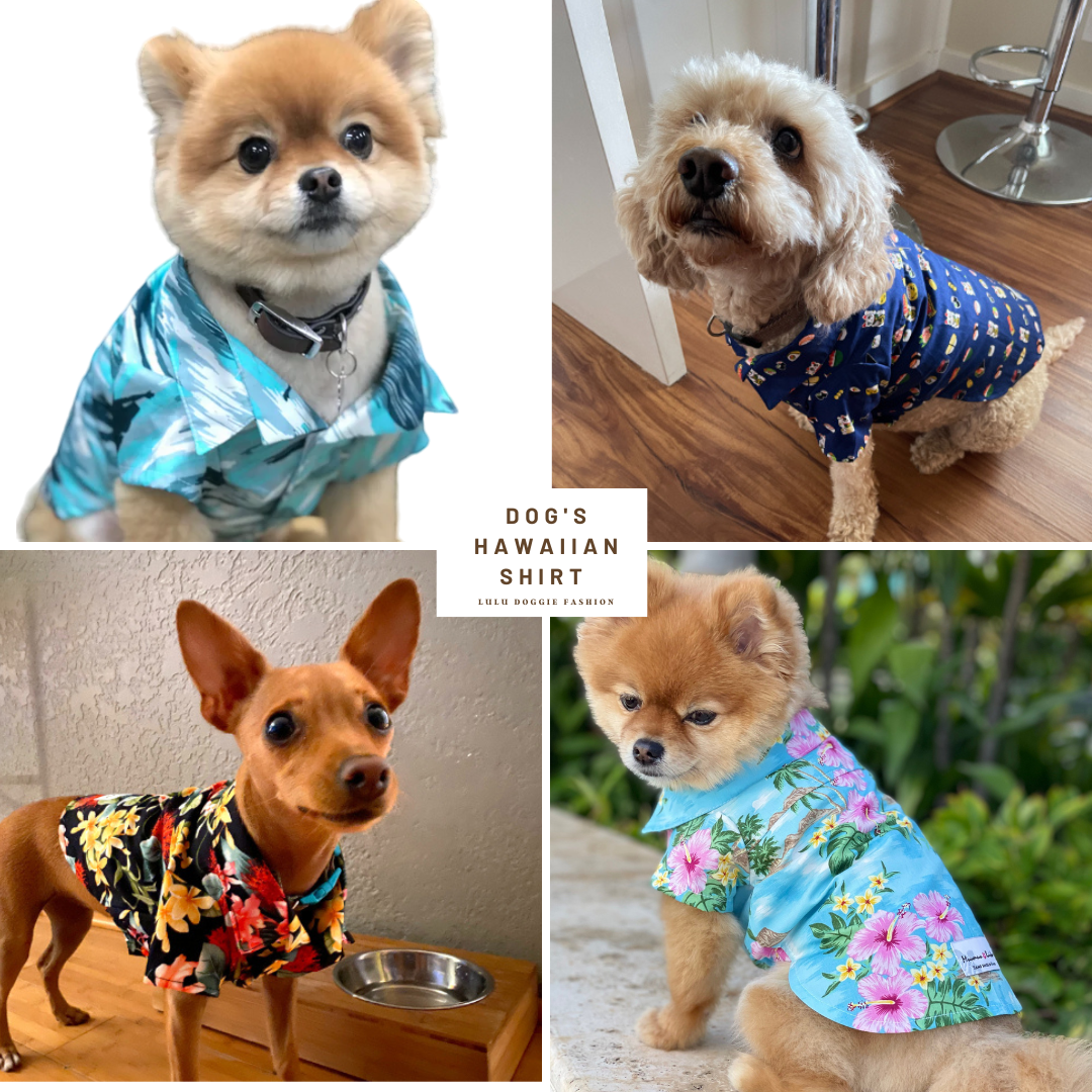 Dog's Hawaiian Shirts | Tapa Print - Blue