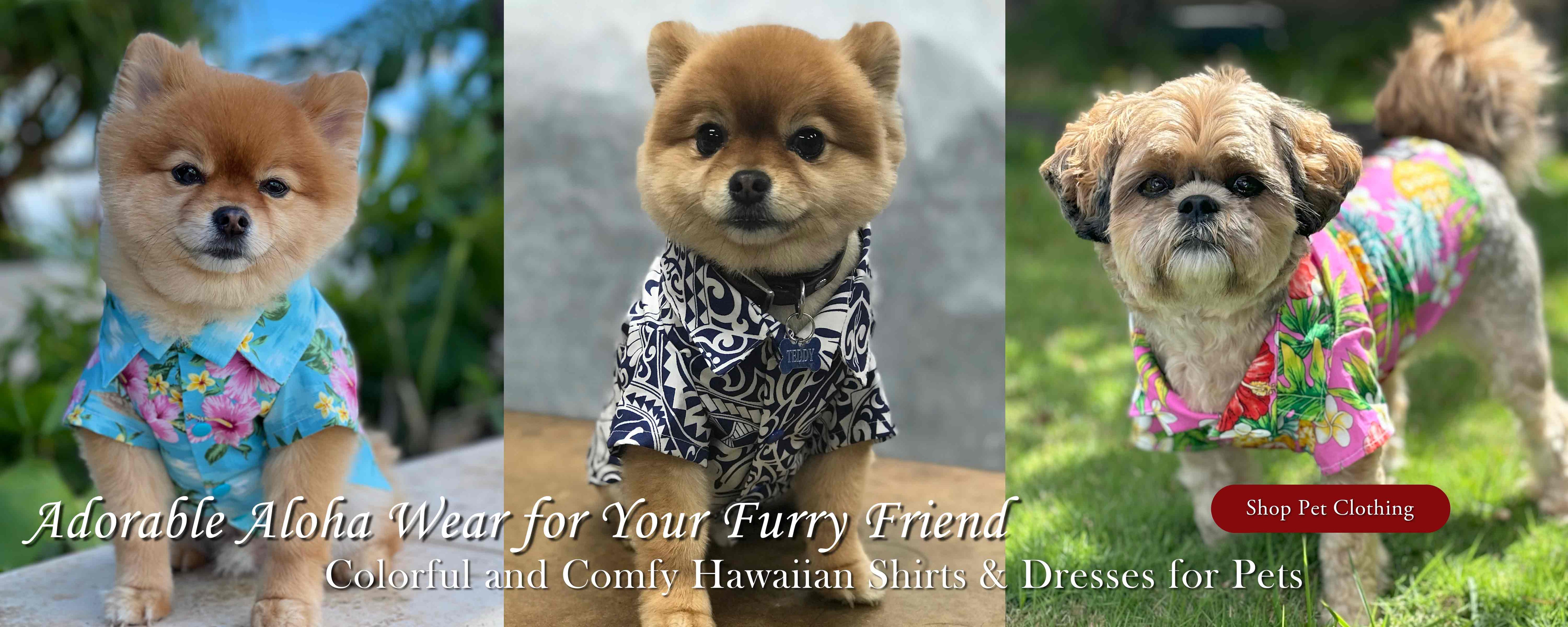 Shop Pet Clothing