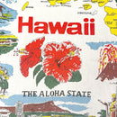 Vintage Hawaiian Print Design Gift Wrapping Fabric / Furoshiki  0324FB-Beige-1-4