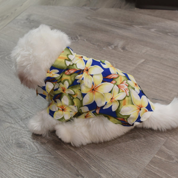 PlumeriaPrintHawaiianDogShirts