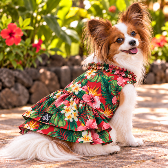 Tropical Hibiscus Paradise Hawaiian Dog Dress – Red Floral Print | Made in Hawaii