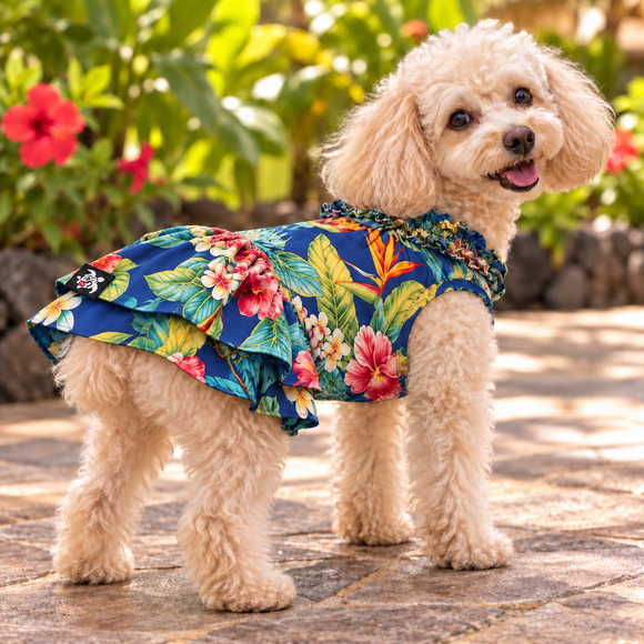 Royal Blue Tropical Hibiscus Dog Dress – Colorful Hawaiian Floral Ruffle Dress | Made in Hawaii