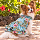 Sky Blue Hawaiian Island Paradise Dog Dress – Hibiscus & Tropical Beach Print | Made in Hawaii-1