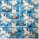 Gift Wrapping Fabric / Furoshiki  - Blue & White Hibiscus / 1223FB-BLU3-4