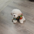 TropicalPrintHawaiianDogShirtsBlack