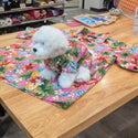 Tropical Print Hawaiian Dog Shirts / Pink［Dog and owner hawaii shirts］