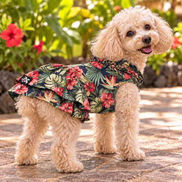 Tropical Hibiscus Hawaiian Dog Dress – Navy Blue with Red Hibiscus & Bird of Paradise Print | Made in Hawaii