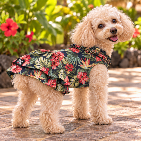 Tropical Hibiscus Hawaiian Dog Dress – Navy Blue with Red Hibiscus & Bird of Paradise Print | Made in Hawaii