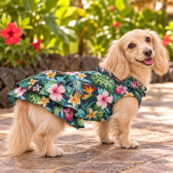 Tropical Paradise Hawaiian Dog Dress – Navy Blue Hibiscus & Plumeria Print | Made in Hawaii