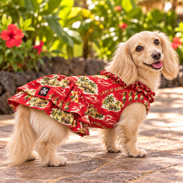 Vintage Red Hawaiian Aloha Dog Dress – Retro Hula & Island Scenic Print | Made in Hawaii