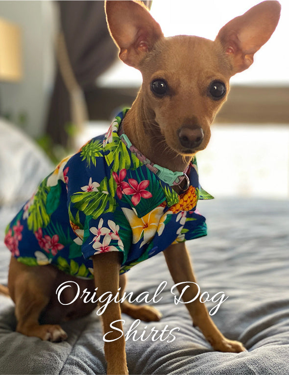 Pet Hawaiian Fashion