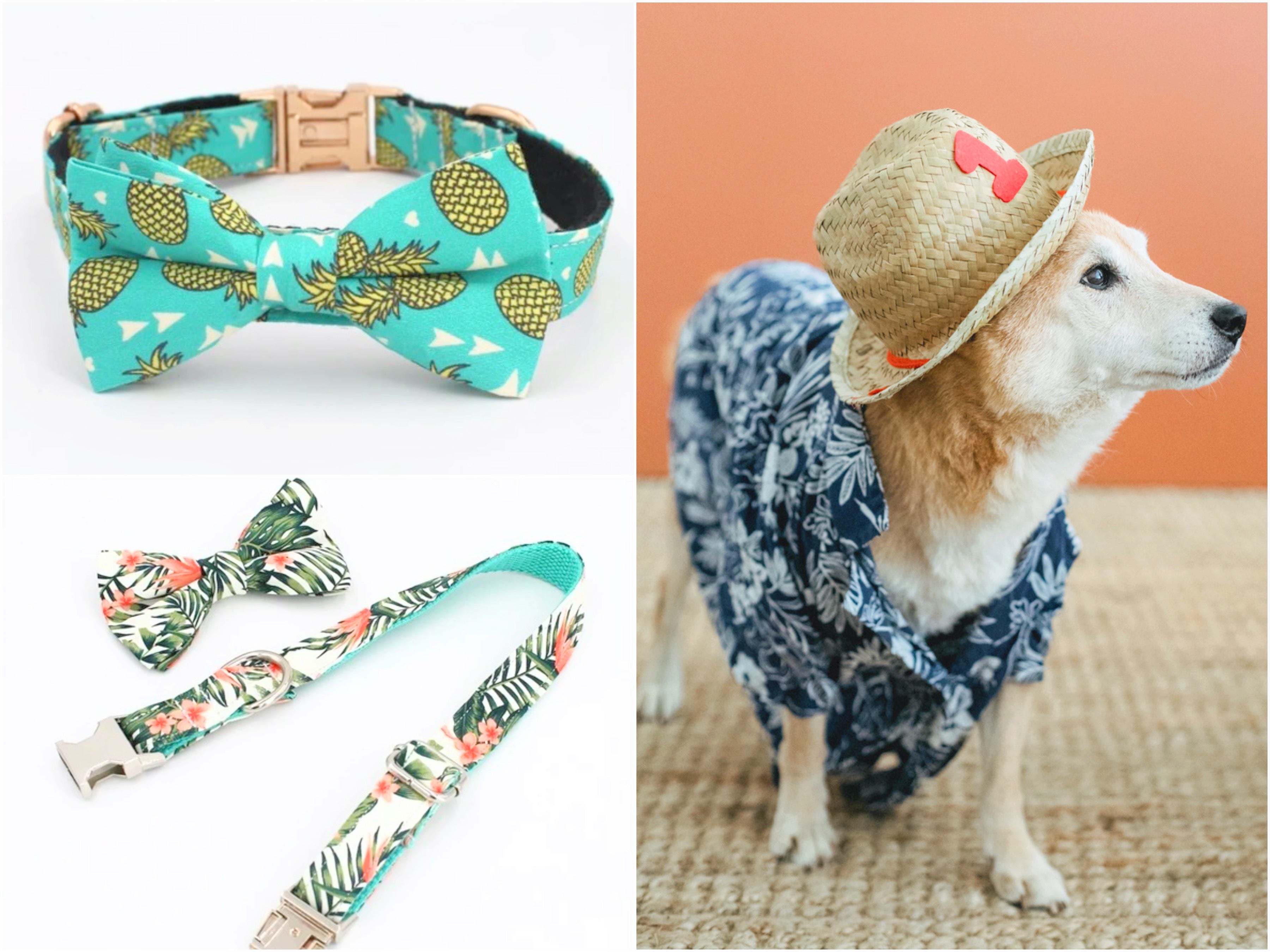 Pet Hawaiian Fashion