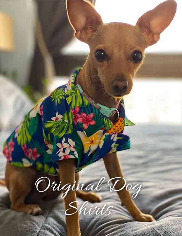 hawaiian dog shirts shop online