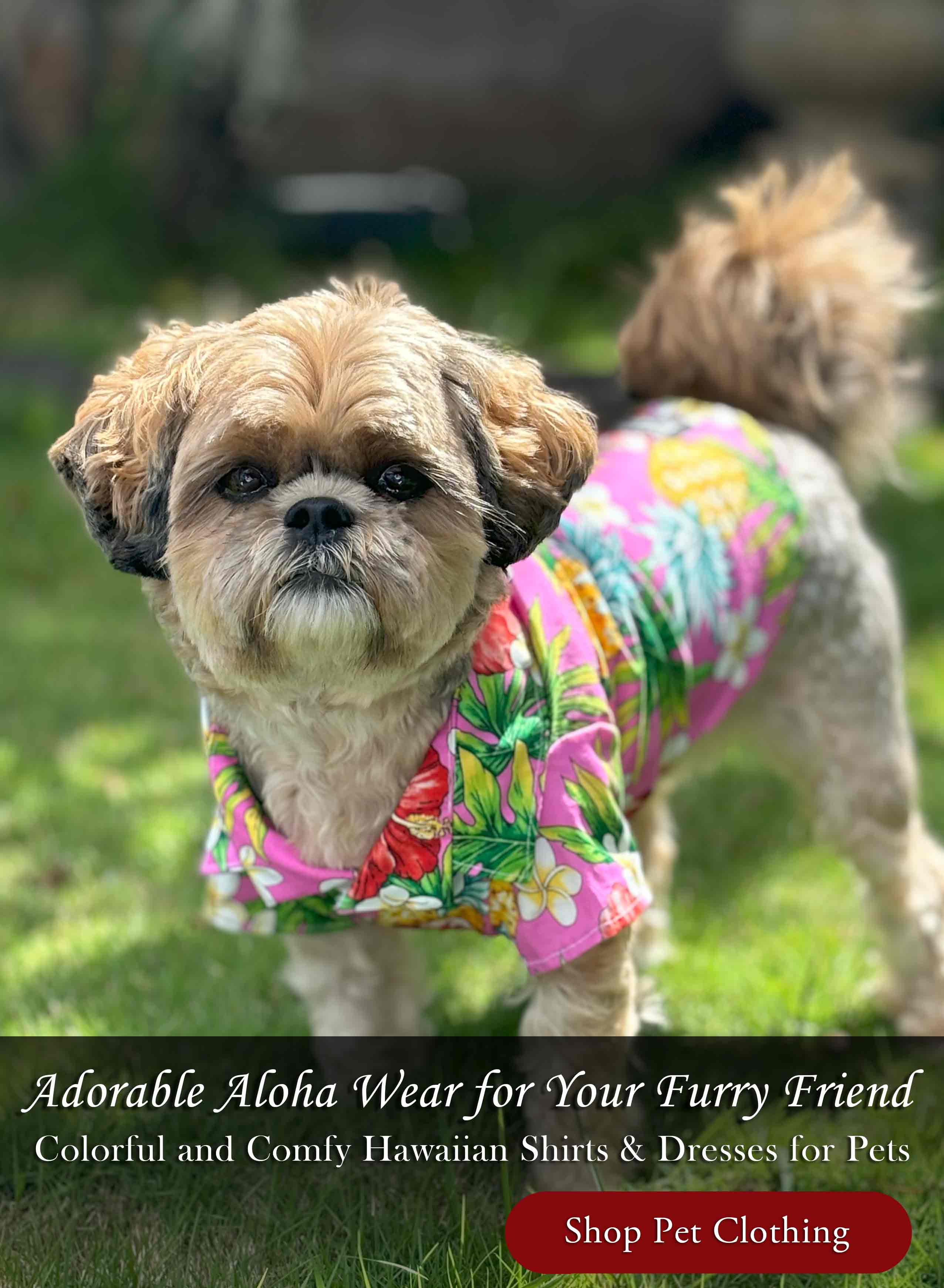 Shop Pet Clothing