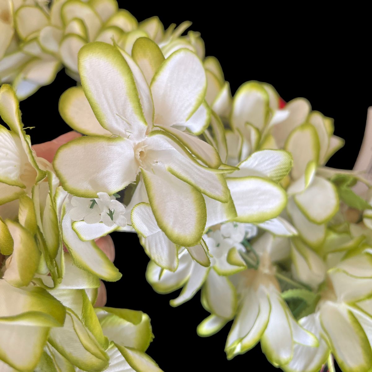 White and Green Fresh Flumeria Flower Lei - 0