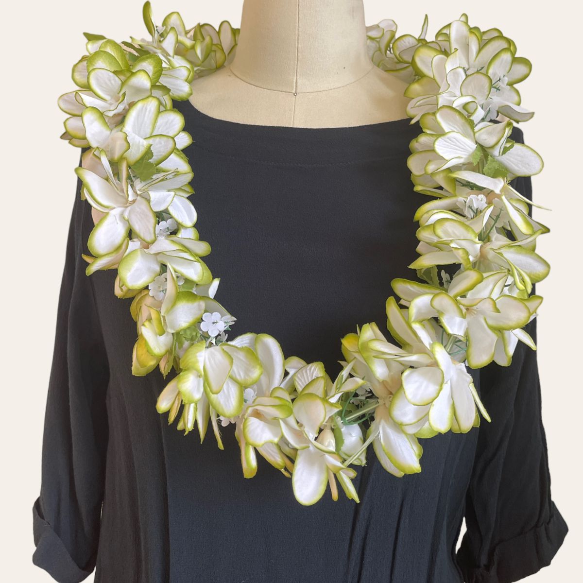 White and Green Fresh Flumeria Flower Lei