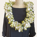 White and Green Fresh Flumeria Flower Lei-1