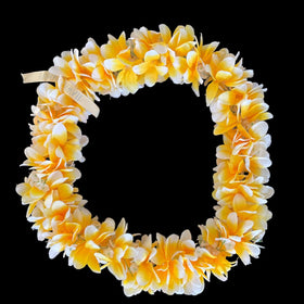 Yellow Plumeria Flower Lei - 0