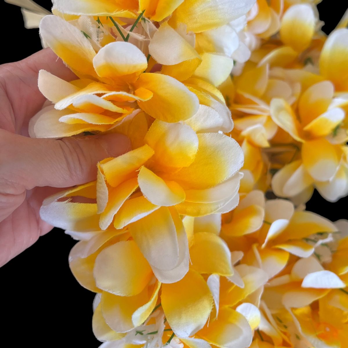 Yellow Plumeria Flower Lei