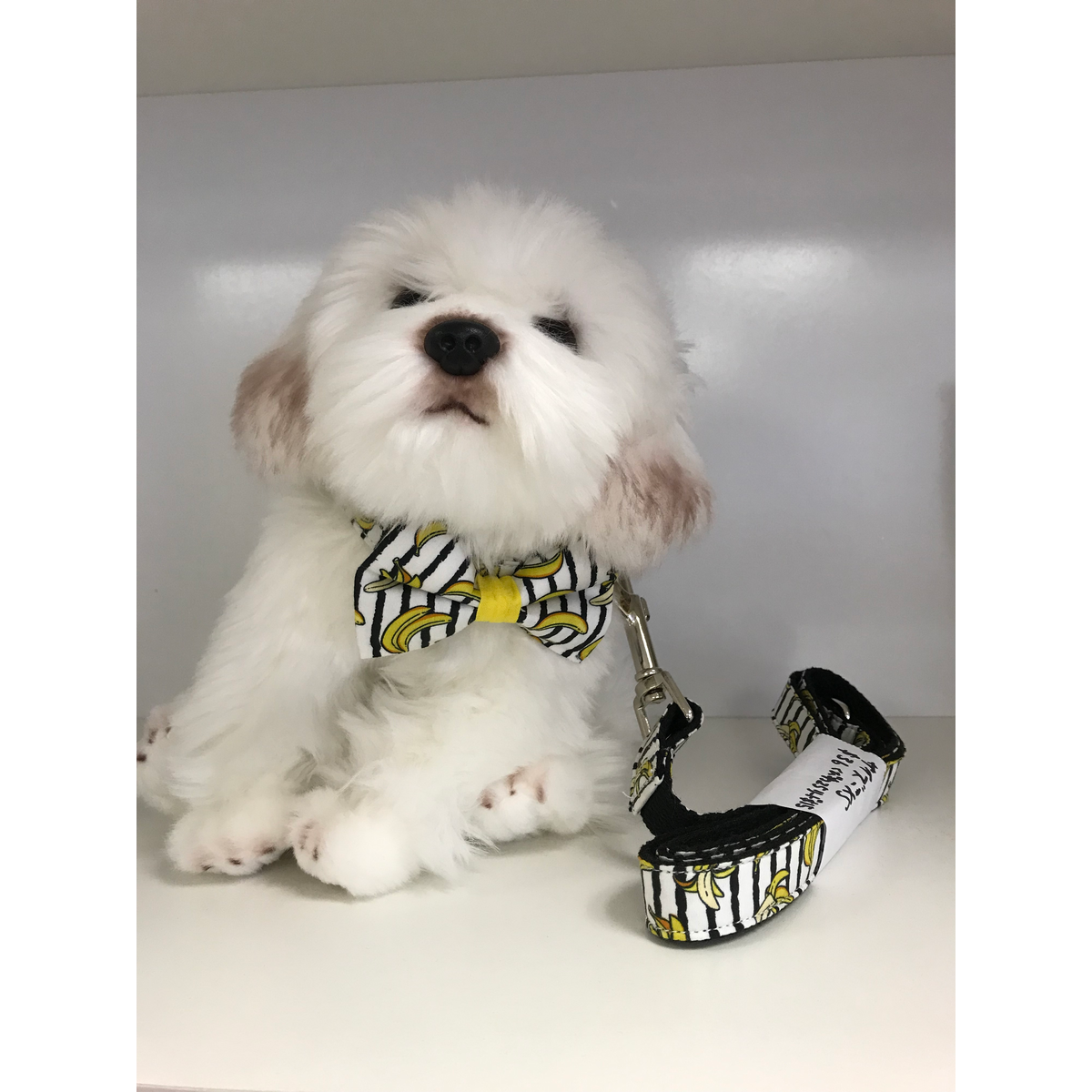 3Pc Dog Set | Bow Tie, Collar, Leash | Banana - Muumuu Outlet