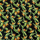 Birds of Paradise Gorgous Black Fabric | Black-1