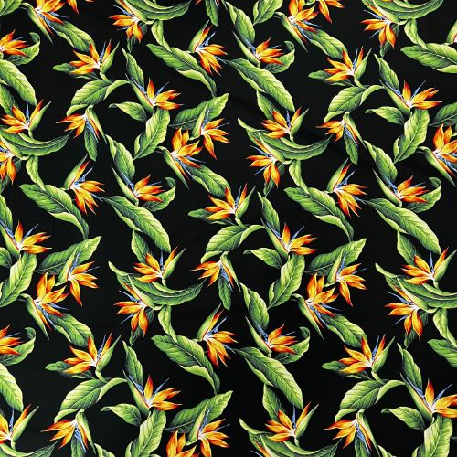 Birds of Paradise Gorgous Black Fabric | Black