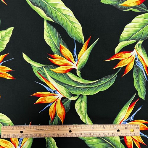 Birds of Paradise Gorgous Black Fabric | Black - 0