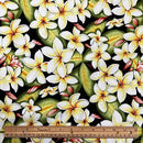 Plumeria All Over Hawaiian Fabric | Black 0223 BLK-0013C-2