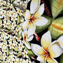 Plumeria All Over Hawaiian Fabric | Black 0223 BLK-0013C
