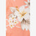 Peach Hibiscus Print Hawaiian Long Muumuu Dress