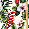 Red & White Hibiscus Heliconia | Beige Off White 0223 WHT-0005C