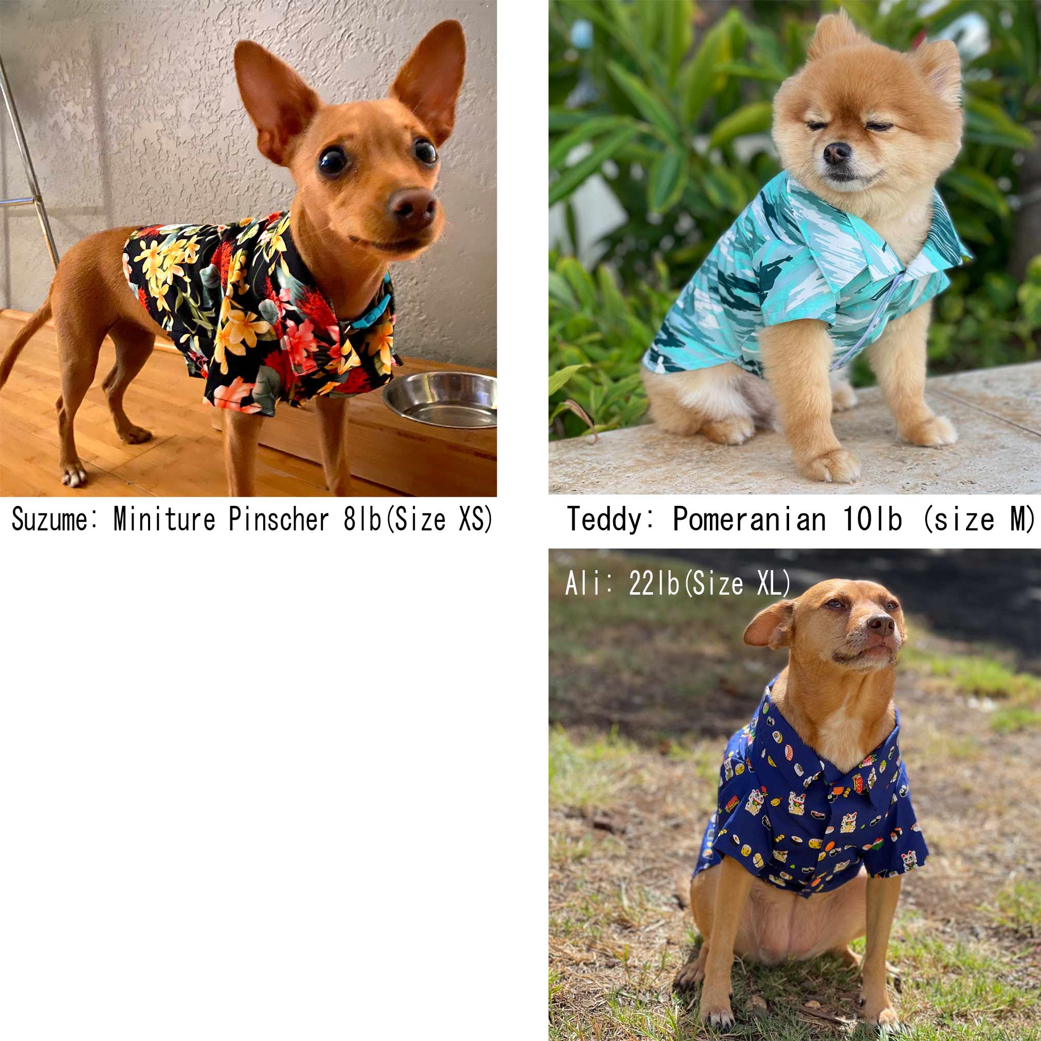 Dog's Hawaiian Shirt | Hawaiian Ipu Print | Blue