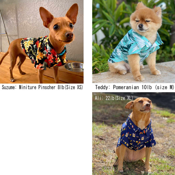 Diamond Head Hawaiian Dog's Shirts | Hawaiian Scenic Series | Blue, Green