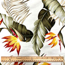 Birds of paradise & Palm Leaf | Beige Off White-2