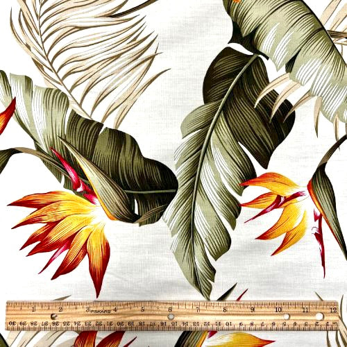 Birds of paradise & Palm Leaf | Beige Off White