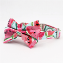 Watermelon Fruit Print Bow Tie for Dog | Pet Collar, Leash, Tie 3Pc Set | Green - Muumuu Outlet