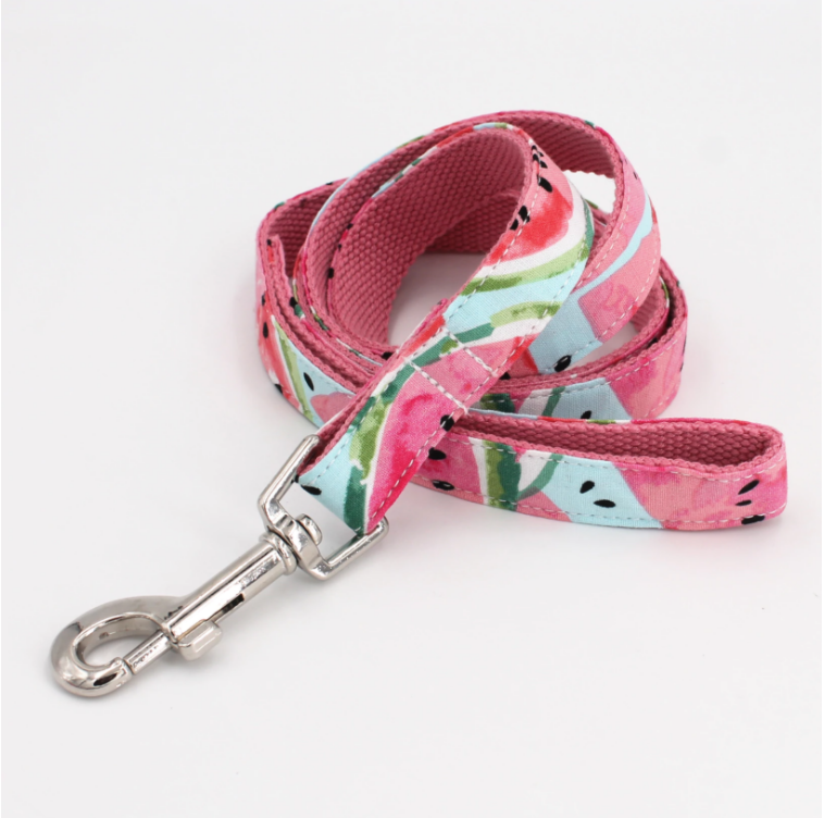 Watermelon Fruit Print Bow Tie for Dog | Pet Collar, Leash, Tie 3Pc Set | Green - Muumuu Outlet